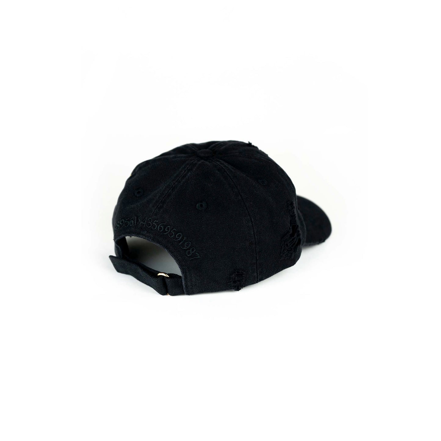 Kashmire dog attack cap